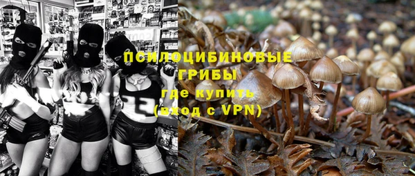 первитин Белокуриха