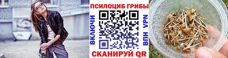 Галлюциногенные грибы Psilocybe  Будённовск 